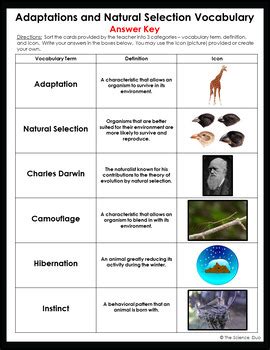 evolution and natural selection vocabulary worksheet
