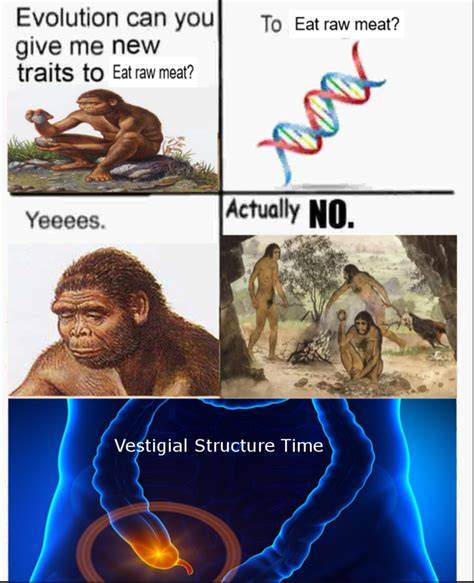The First Meme Ever Trend Meme