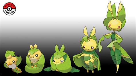 Evolution Chain Of Swadloon