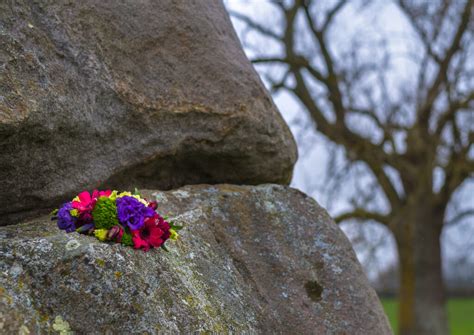 evolution of an dishonour