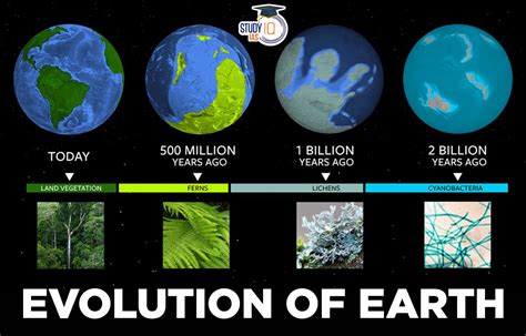 evolution of earth timeline in order