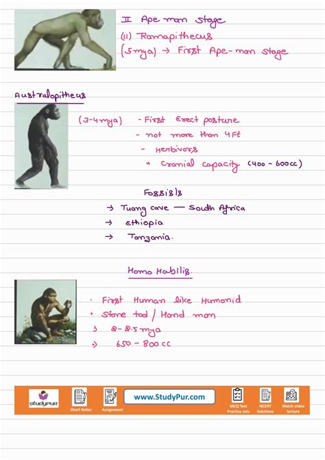 evolution of life forms a theory class 12 short notes