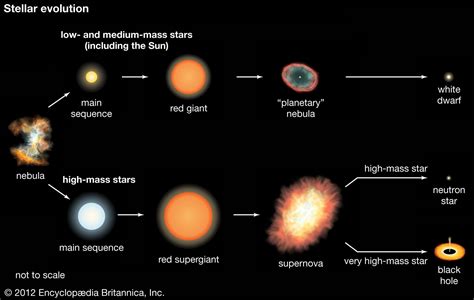 How Stars Transform From Birth To Death Across Time