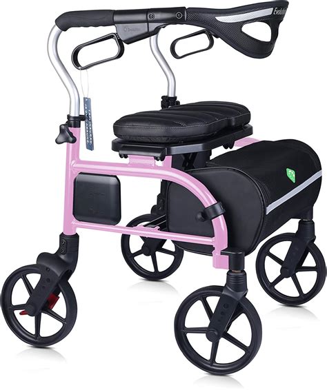 Evolution Walker Mobility