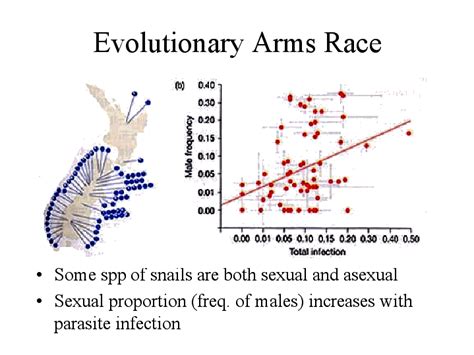 evolutionary sexual arms race