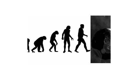 Evoluzione culturale: di cosa si tratta? | Trattamento, Evoluzione, Cose