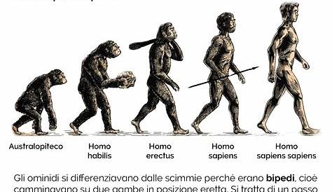 Il mondo del bambino: LA STORIA DELL' UOMO History For Kids, Sapiens