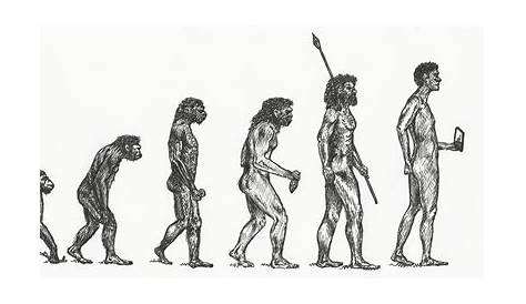L'EVOLUZIONE DELL'UOMO: L' HOMO SAPIENS