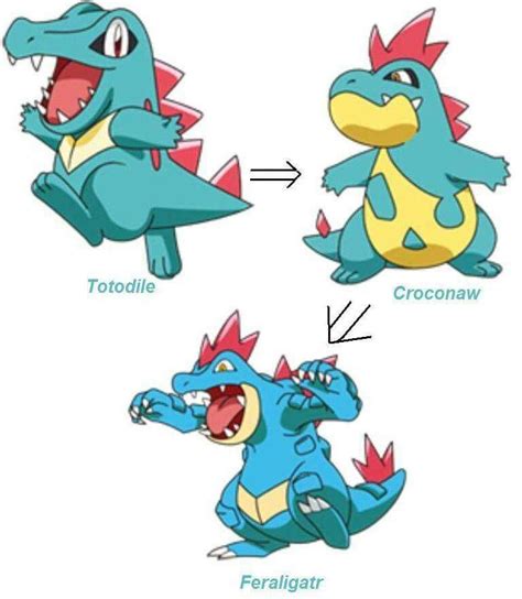 evolved form of totodile