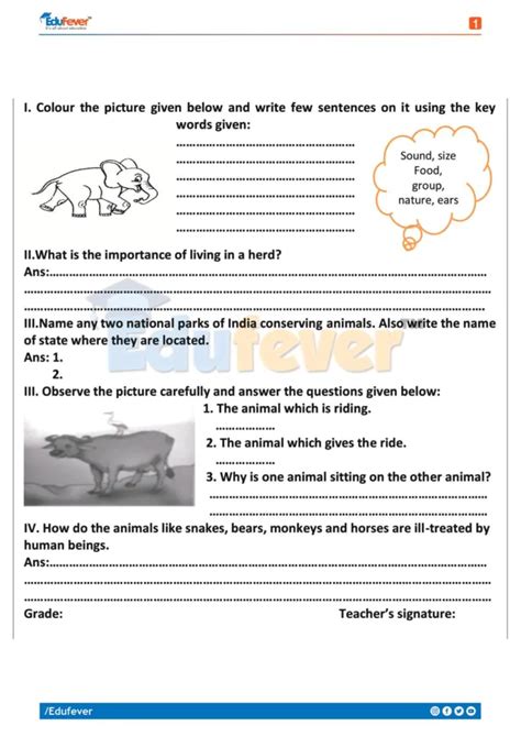 evs class 4 cbse solutions