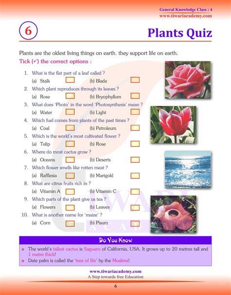 evs general questions for class 4 with answers