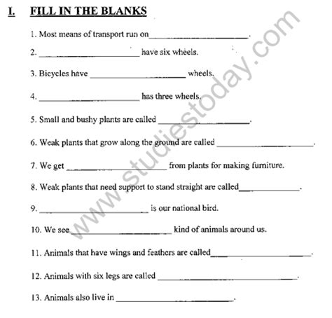 evs questions and answers for class 4