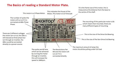 Examine Motor Plate