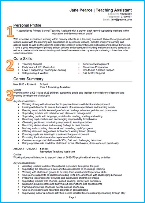 Academic CV Template—Examples, and 25+ Writing Tips