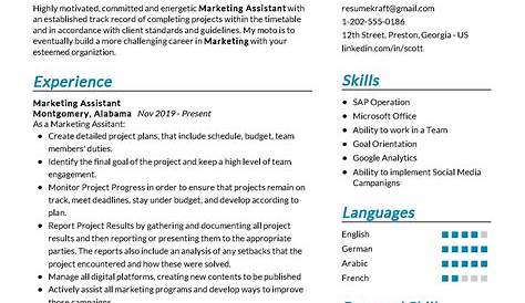 Download Marketing Assistant Resume Sample in Word Format | Marketing CV