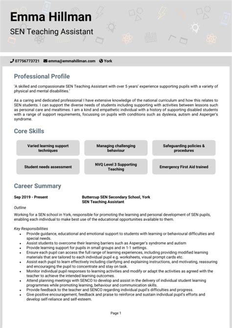 example cv for sen teaching assistant