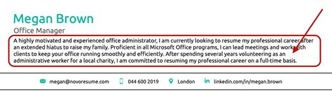 example cv statement