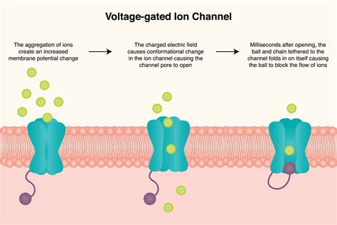 Example Gated Channel