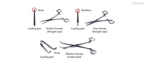 Example Of A Forceps