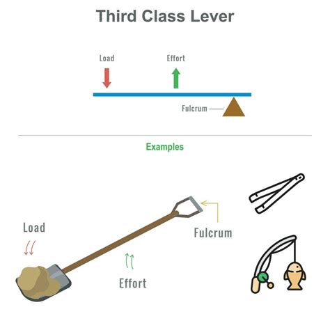 Example Of A Linked Third Class Lever