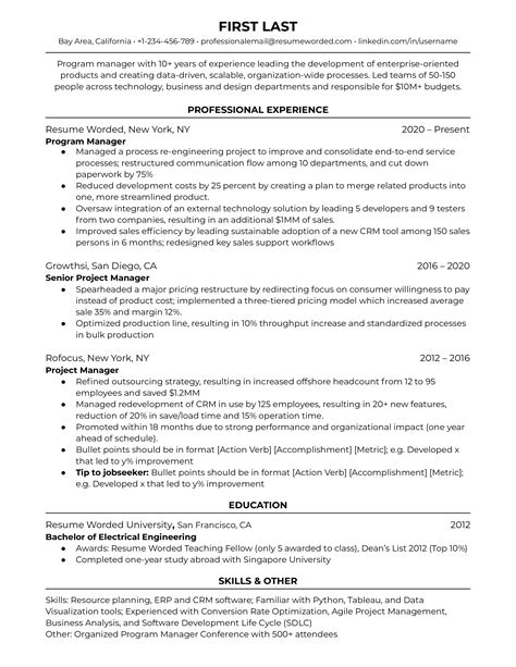 example of a program manager resume