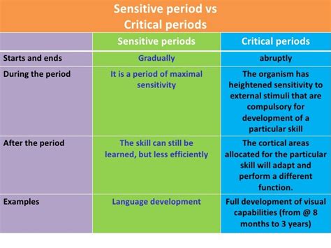 example of a sensitive period in development