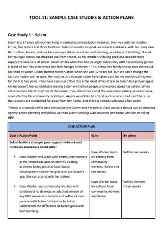 example of action plan in case study