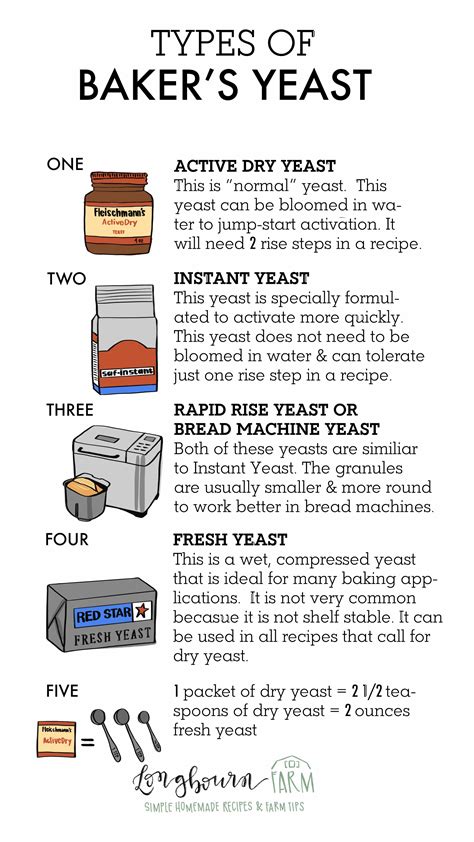 Example Of Baker's Yeast