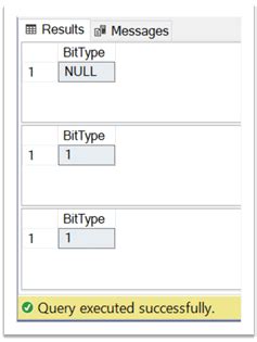 example of bit data type in sql server