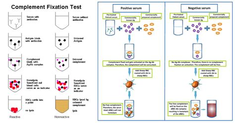 example of complement fixation test