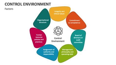 Example Of Control Environment In Auditing
