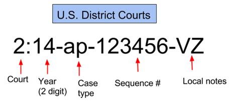 example of criminal case number