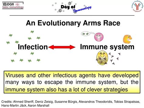 example of evolutionary arms race