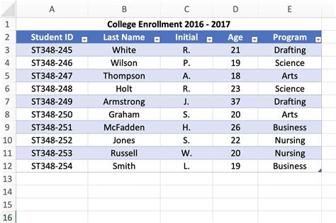 Example Of Excel Data Table