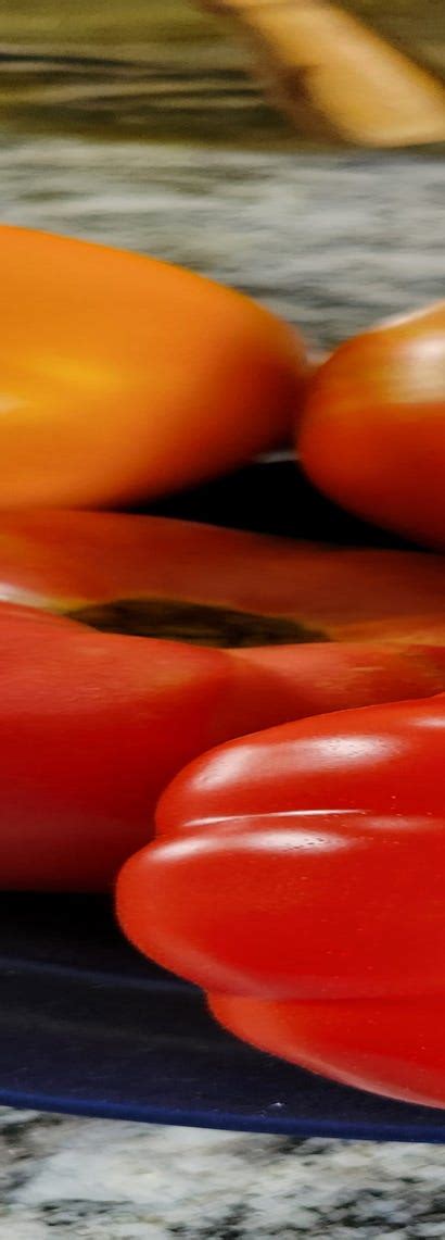 Example Of Food Column