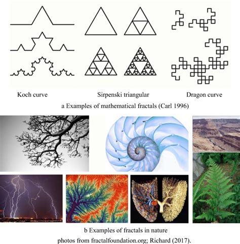 example of fractal pattern in nature in real life