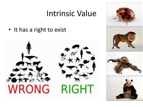 example of intrinsic value in nature