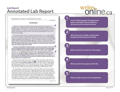 Example Of Introduction Of Lab Report