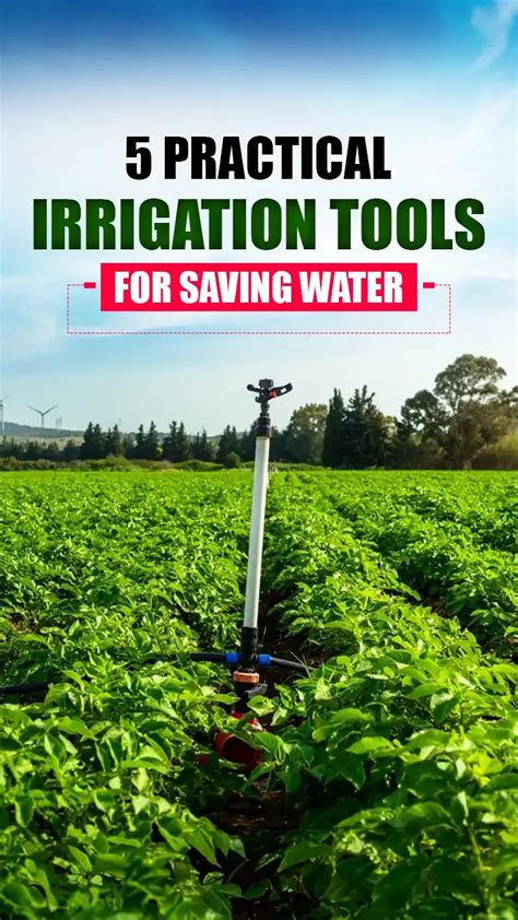 Example Of Irrigation Tools
