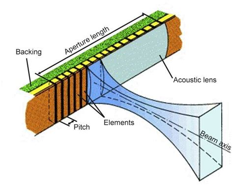 Example Of Linear Array Transducer