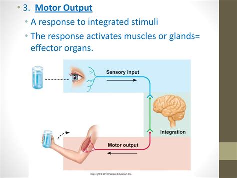 Example Of Motor Output