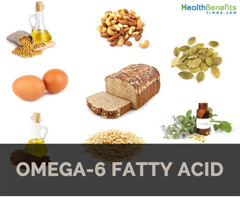example of omega 6 fatty acid