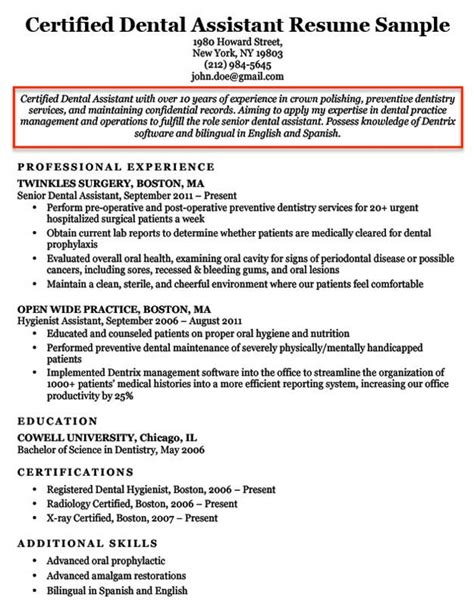 example of professional objective in resume