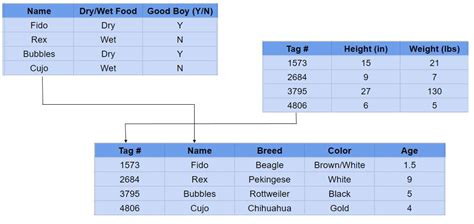 example of relational database and non relational database
