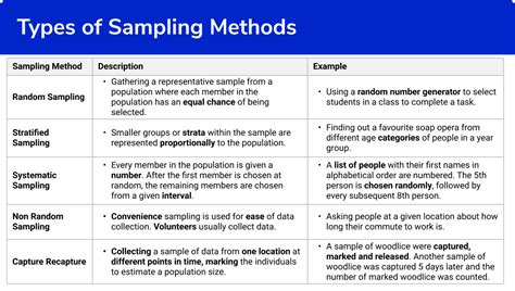 example of sampling procedure and sample