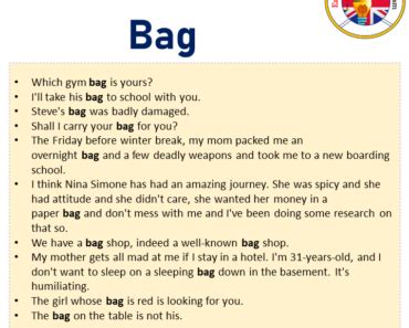 Example Of Sentence Using Bag
