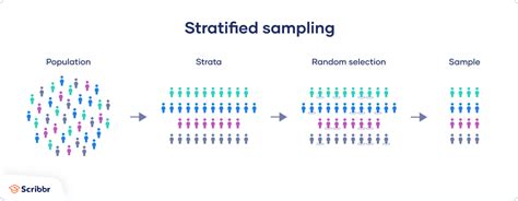 example of strata in statistics