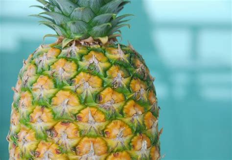 example of tessellation pattern in nature in the philippines