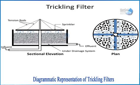 Example Of Trickling Filters