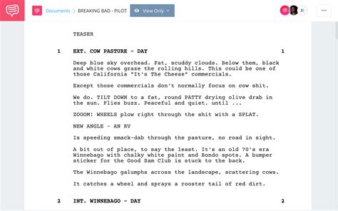 Example Of Tv Program Script